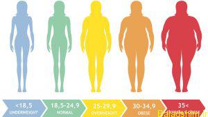 بی ام آی BMI یا شاخص توده بدنی چیست 